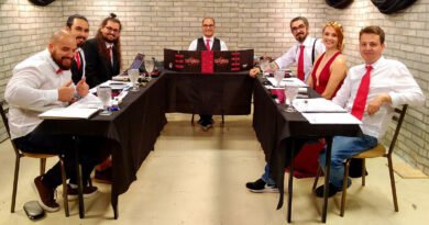 Elenco de Skyfall RPG